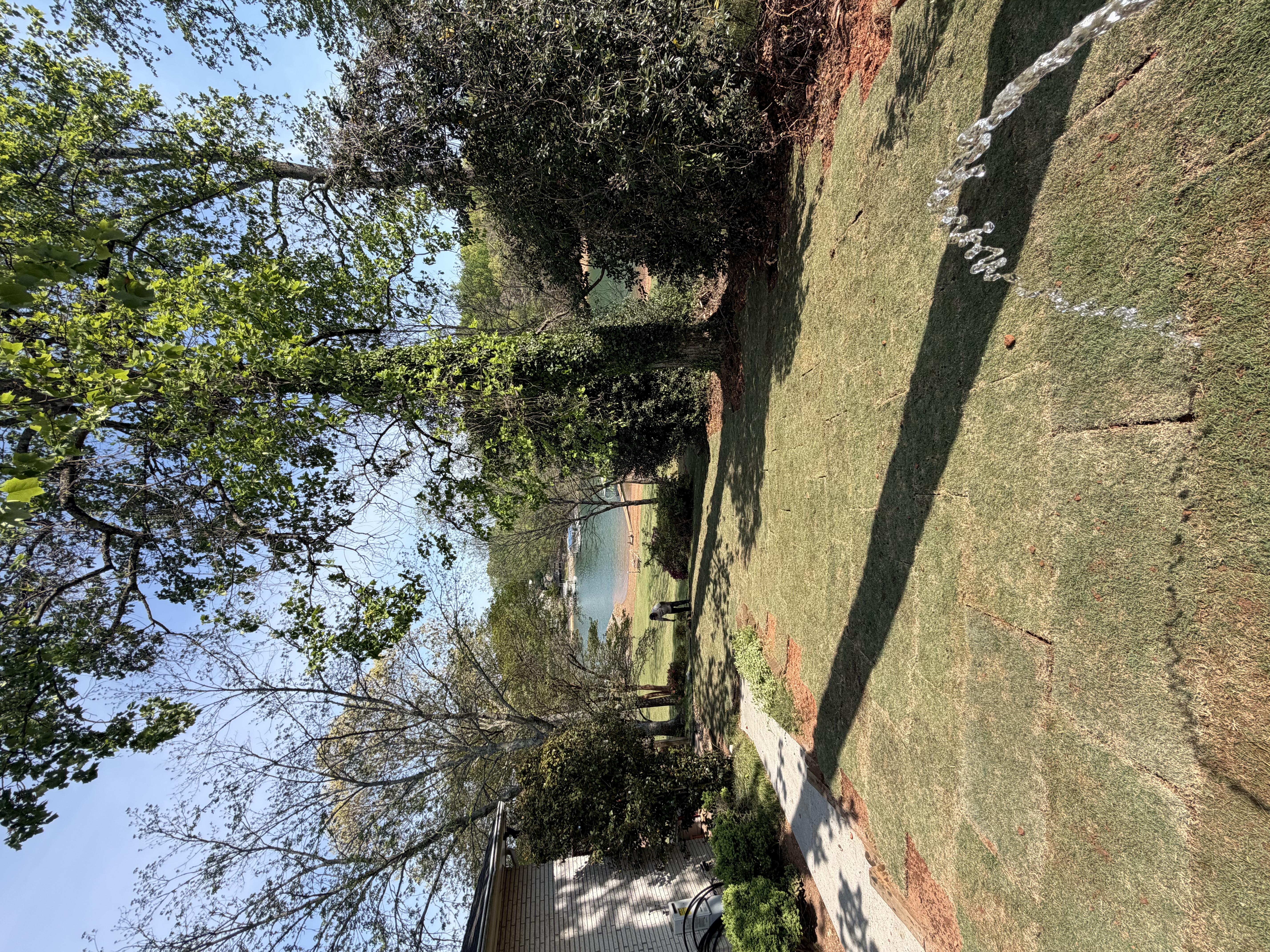 Lakefront fresh sod